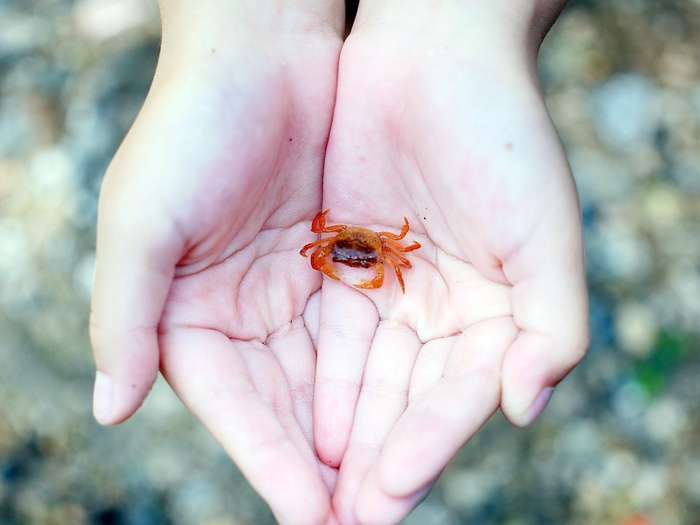 蟹座の恋愛 浮気事情とは 血液型別の特徴まとめ 占いのウラッテ