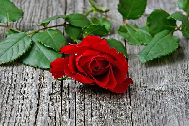 嫉妬がひどい彼氏と別れるべき 付き合うかの判断ポイント 占いのウラッテ