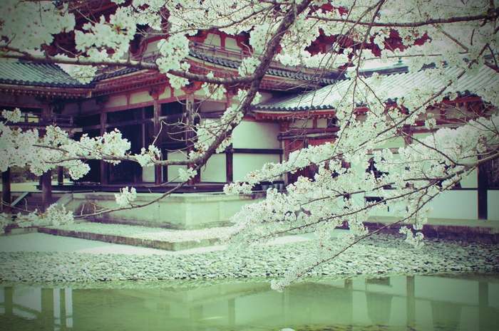 栃木県にあるパワースポット 日光東照宮のご利益 占いのウラッテ