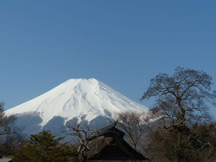 山梨県にあるパワースポット 新屋山神社のご利益 口コミ 占いのウラッテ