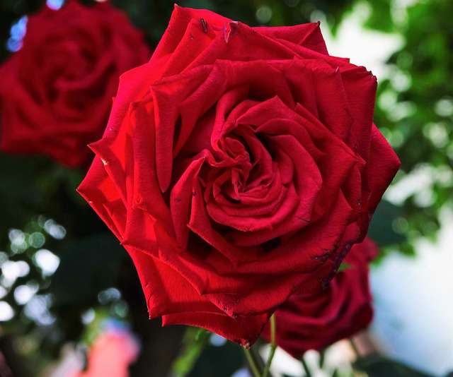 彼女が欲しいけど遊び人はイヤ 遊び人の女性の特徴とは 占いのウラッテ