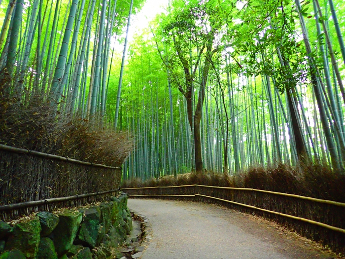 開運の予感？京都、嵐山にある！おすすめ３大パワースポット特集！