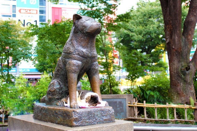 渋谷で霊視がよく当たる！占い師・霊能力者３選