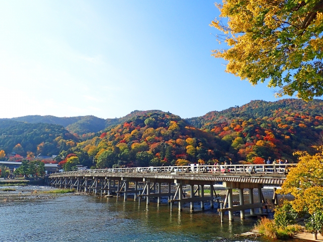 京都嵐山で当たる占いがしたい 話題の占い師 占い館 占いのウラッテ