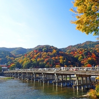 京都嵐山で当たる占いがしたい！話題の占い師＆占い館