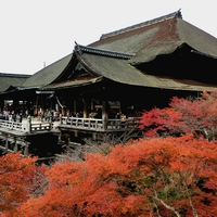 京都の人気パワースポット！！ 清水寺の効果＆口コミ