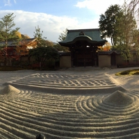 京都のパワースポット！！ 高台寺のご利益・効果・口コミ