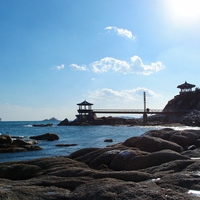 埼玉県にある最強パワースポット…高麗神社の魅力＆情報