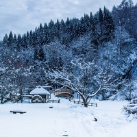 秋田県にあるパワースポット…御座石神社の魅力＆ご利益