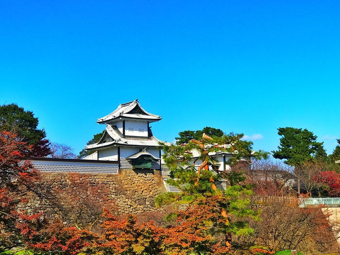 当たると有名の石川県のパワースポット…服部神社の魅力＆ご利益