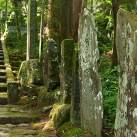 木の神様がいる！和歌山県にあるパワースポット…伊太祁曽神社