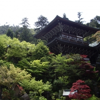 広島県の宮島にある最強パワースポット…大聖院の魅力＆ご利益
