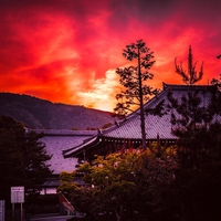 七不思議が有名な京都にあるパワースポット…知恩院のご利益