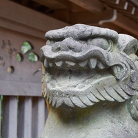 浅草の人気パワースポットである…浅草神社の魅力&ご利益