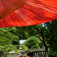 京都の人気パワースポット！出雲大神宮のご利益と口コミ
