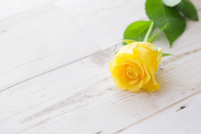 彼氏と一生結婚できないの？プロポーズをしない男性心理とは