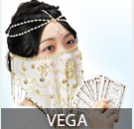 Vega(ヴェガ)先生